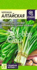 Лук Черемша алтайская (0,3 гр) Семена Алтая