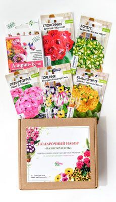 "Оазис красоты" подарочный набор семян комнатных растений Семена Алтая