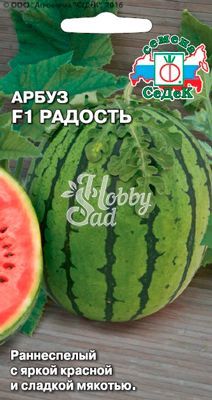 Арбуз Радость (1 г) Седек
