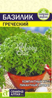 Базилик Греческий (0,2 гр) Семена Алтая