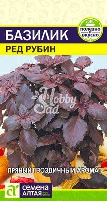 Базилик Ред Рубин (0,3 гр) Семена Алтая  