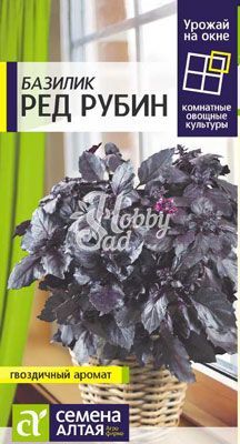 Базилик Ред Рубин (0,3 гр) Семена Алтая  УРОЖАЙ НА ОКНЕ