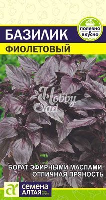 Базилик Фиолетовый (0,3 гр) Семена Алтая