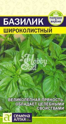 Базилик Широколистный (0,3 гр) Семена Алтая