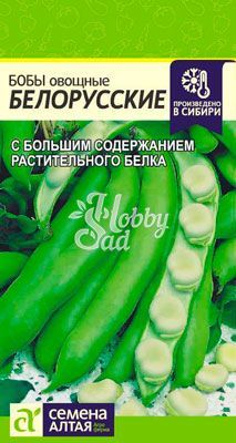 Бобы Белорусские (5 гр) Семена Алтая