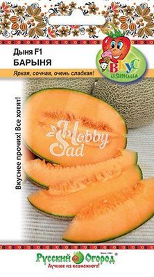 Дыня Барыня F1 (5 шт) серия Вкуснятина Русский Огород