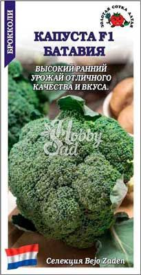 Капуста Батавия F1 брокколи (10 шт) Сотка