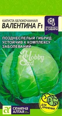 Капуста Валентина F1 б/к (0,1 гр) Семена Алтая