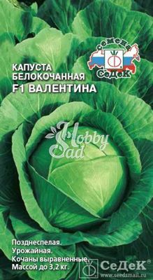 Капуста Валентина F1 белокочанная  (0,1 г) Седек