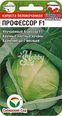 Капуста Профессор F1 белокочанная (10 шт) Сибирский Сад
