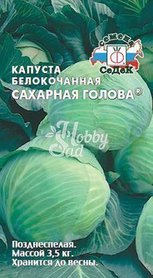 Капуста Сахарная голова F1 белокочанная (0,5 г) Седек
