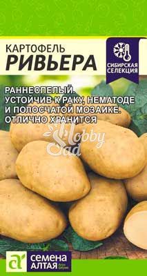Картофель Ривьера (0,02 г) Семена Алтая Сибирская Селекция!