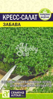 Кресс-Салат Забава (1 гр) Семена Алтая