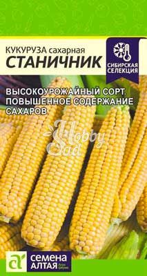 Кукуруза Станичник (3 гр) Семена Алтая