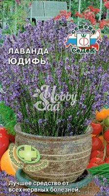 Лаванда Юдифь ( 0,05 г) Седек