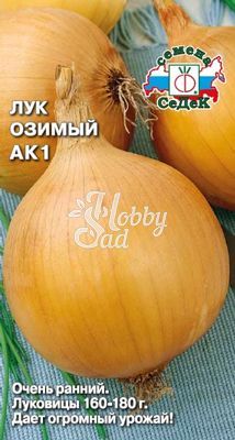 Лук АК1 репчатый (0,5 г) Седек