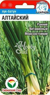 Лук Алтайский батун (0,5 гр) Сибирский Сад