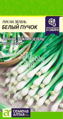 Лук Белый Пучок на зелень (0,5 гр) Семена Алтая