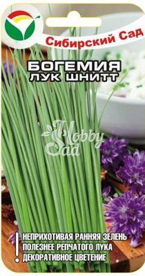 Лук Богемия шнитт (0,5 гр) Сибирский Сад