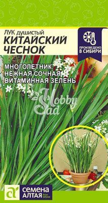 Лук Душистый Китайский Чеснок (0,5 гр)  Семена Алтая