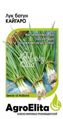 Лук Кайгаро на зелень (100 шт) Сибирский Сад