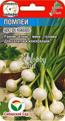 Лук Помпеи на зелень (0,5 гр) Сибирский Сад