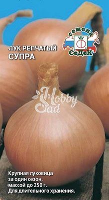 Лук Супра репчатый (0,5 г) Седек