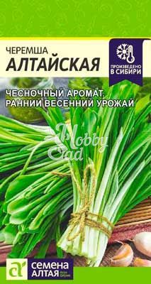 Лук Черемша алтайская (0,3 гр) Семена Алтая