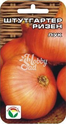 Лук Штутгартер ризен репчатый (1 гр) Сибирский Сад