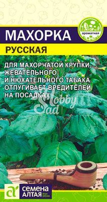 Махорка Русская (0,01 гр) Семена Алтая НОВИНКА