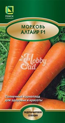 Морковь Алтаир F1 (1 гр) Поиск