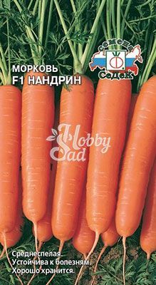 Морковь Нандрин F1 (100 шт) Седек