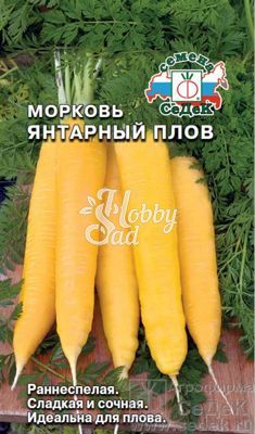 Морковь Янтарный Плов (0,1 г) Седек
