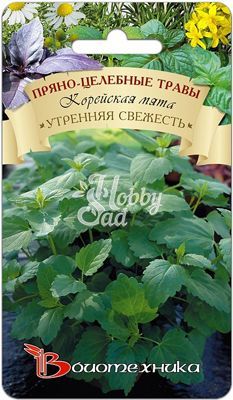 Мята корейская Утренняя свежесть (0,1 г) Биотехника