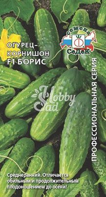 Огурец Борис F1 (0,3 г) Седек