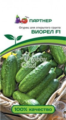 Огурец Виорел F1 пчелоопыляемый (0,5 г) Партнер