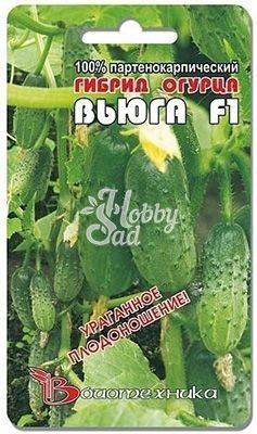 Огурец Вьюга F1 (8 шт) Биотехника