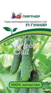 Огурец Гуннар F1 партенокарпический (5 шт) Партнер