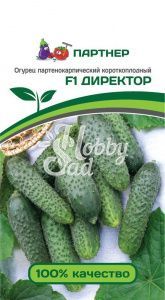 Огурец Директор F1 партенокарпический (5 шт) Партнер
