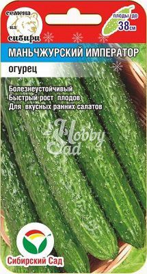 Огурец Маньчжурский Император F1 (7шт) Сибирский Сад