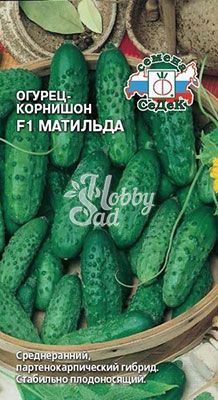 Огурец Матильда F1 (0,2 г) Седек