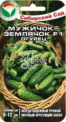 Огурец Мужичок-землячок  F1  (7 шт) Сибирский Сад