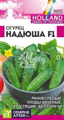 Огурец Надюша F1 (8 шт) Семена Алтая Seminis 