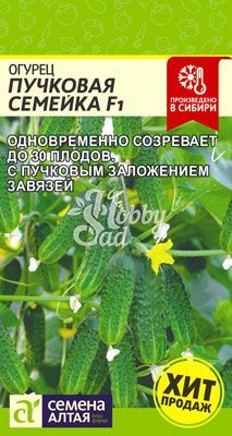 Огурец Пучковая Семейка F1 (6 шт) Семена Алтая