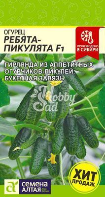Огурец Ребята Пикулята F1 (5 шт) Семена Алтая
