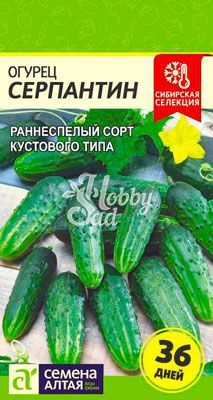 Огурец Серпантин (0,5 г) Семена Алтая Сибирская Селекция