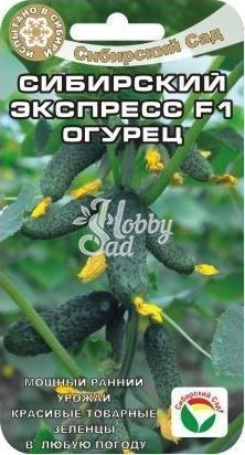Огурец Сибирский экспресс F1 (7 шт) Сибирский Сад