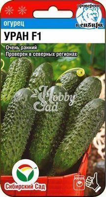 Огурец Уран F1 (5 шт) Сибирский Сад