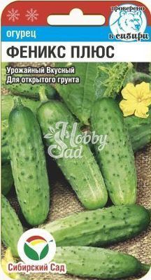 Огурец Феникс Плюс  (7 шт) Сибирский Сад