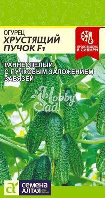 Огурец Хрустящий Пучок F1 (6 шт) Семена Алтая